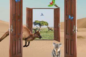 Фотомонтаж