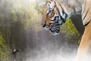 Фотомонтаж