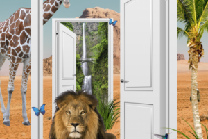 Фотомонтаж