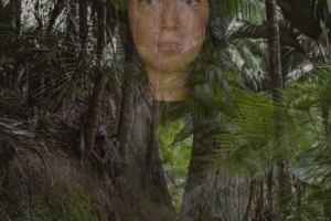 Фотомонтаж