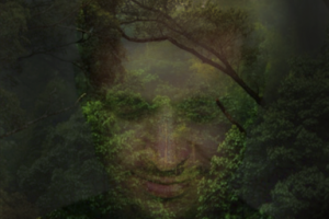 Фотомонтаж