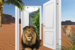 Фотомонтаж