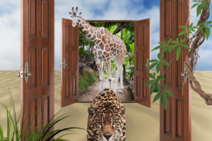 Монтаж фото