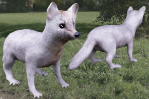 Low-poly соболя