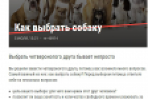 Как выбрать собаку?