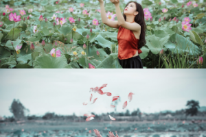 Обработка фото: цветокоррекция и размытие фона