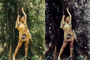 Обработка фото: цветокоррекция и размытие фона