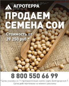 img4237269.png
