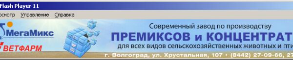 img4237306.png