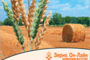 Зерно он-Лайн