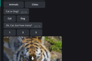 Бот с изображениями