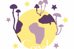 Работа 4147332