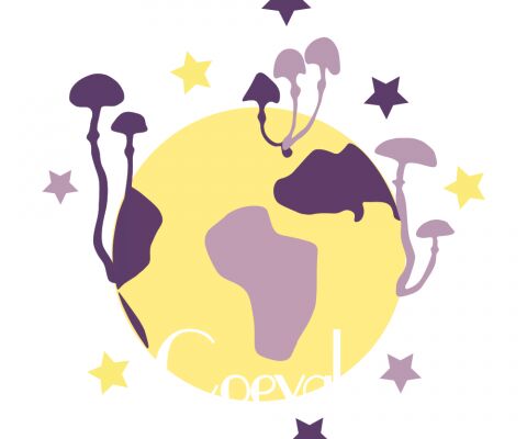 img4147332.png