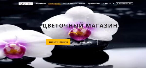 img3494880.png