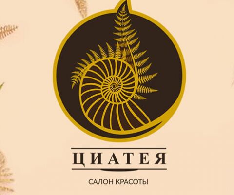 img4085067.png
