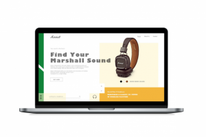 Find your Marshall sound