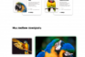 Зоомагазин