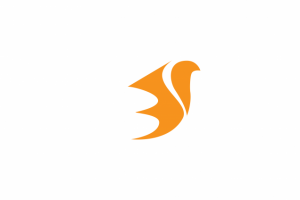 Работа 4067501