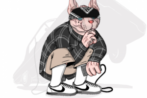 Ель гато локо