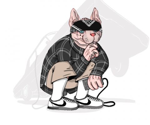 img4144576.png