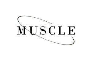 MUSCLE