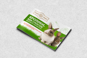 Нажмите, чтоб увидеть картинку полностью :)