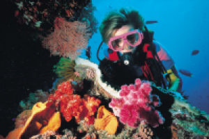 Несколько советов для любителей дайвинга