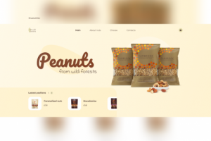 Лендинг для бленда магазина орехов