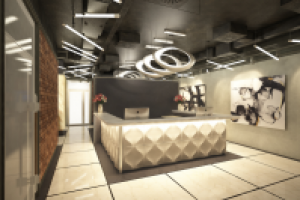 Приёмная лофт