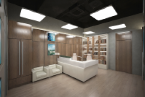 Приёмная руководителя