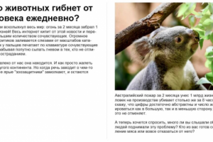 Статья о масштабах гибели животных от рук человека