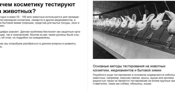 img4077186.png
