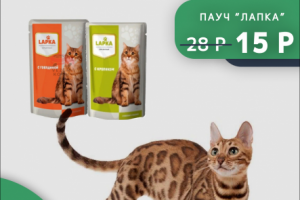 Акция Зоомагазин