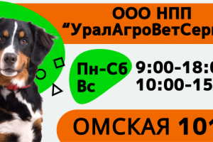 Баннер для светового короба