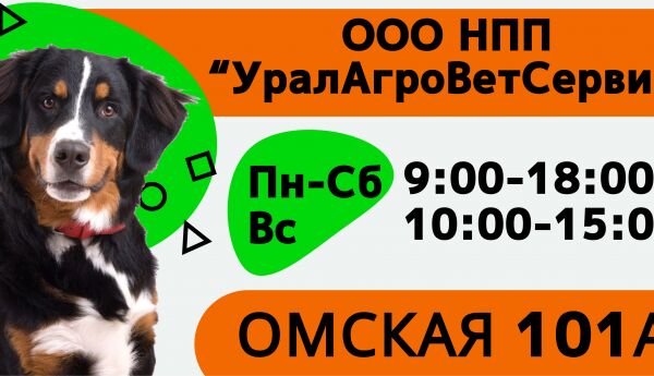 img4237525.png