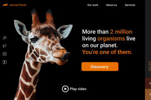 Дизайн первого экрана