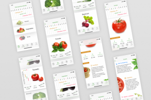 Работа 3893463