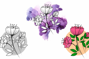 "Тюльпановидная роза"