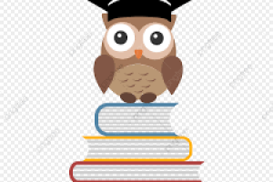 Более 20 работ за 3 месяца