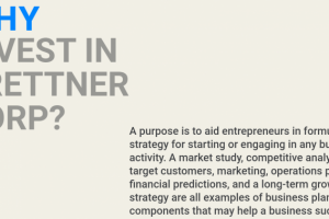 Маркетинговая стратегия