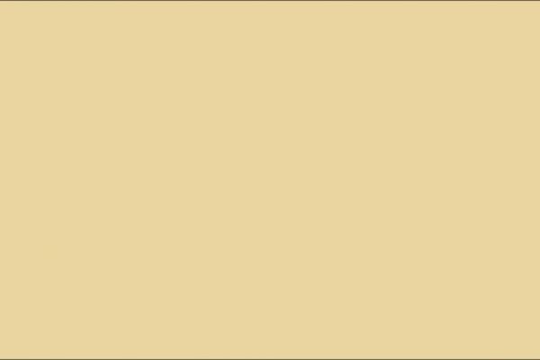 img4228559.png