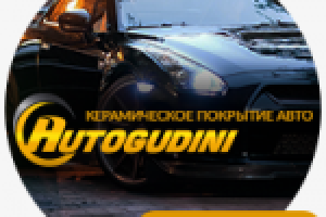 Разработка дизайна лендинга "Autogudini.ru"