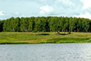 Разработка дизайна лендинга Новая слобода