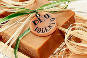 Дизайн интернет-магазина Witerra