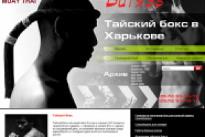 Тайский бокс