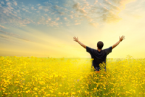 Разработка лендинга "Boomcard"