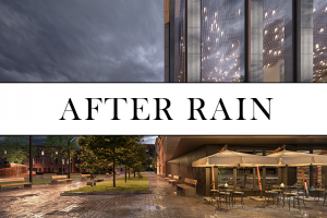 После дождя