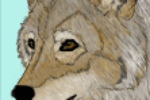 Работа 2735637