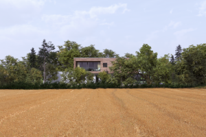 Работа 3953916