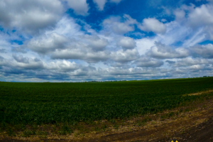 Работа 4176344